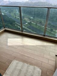 Normanton Park (D5), Apartment #486622041